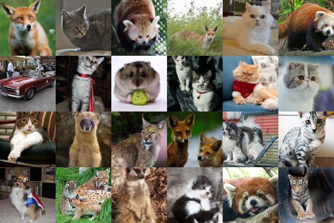 The 24 photos that most strongly activate the selected neuron